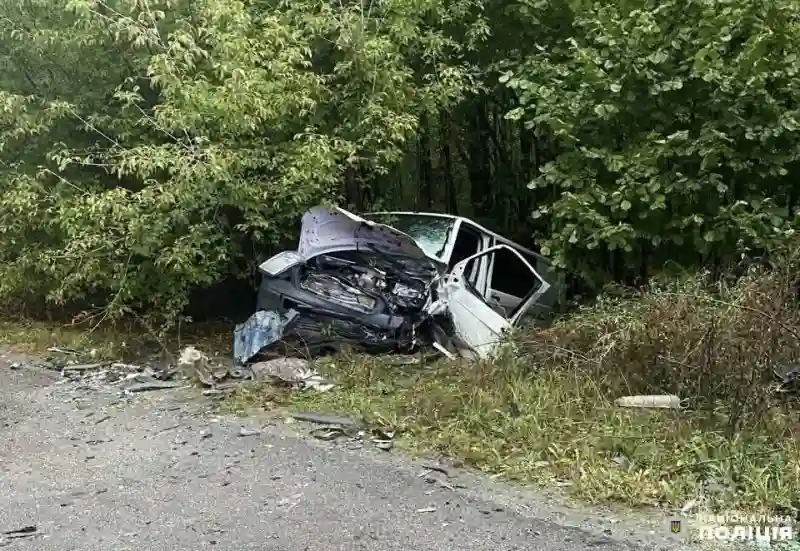 Сім з половиною років колонії: нетверезого водія засудили за смертельну ДТП біля Вараша