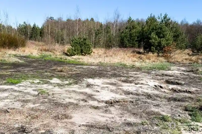 На Рівненщині судитимуть групу, яка систематично зливала відходи молочної продукції на землю
