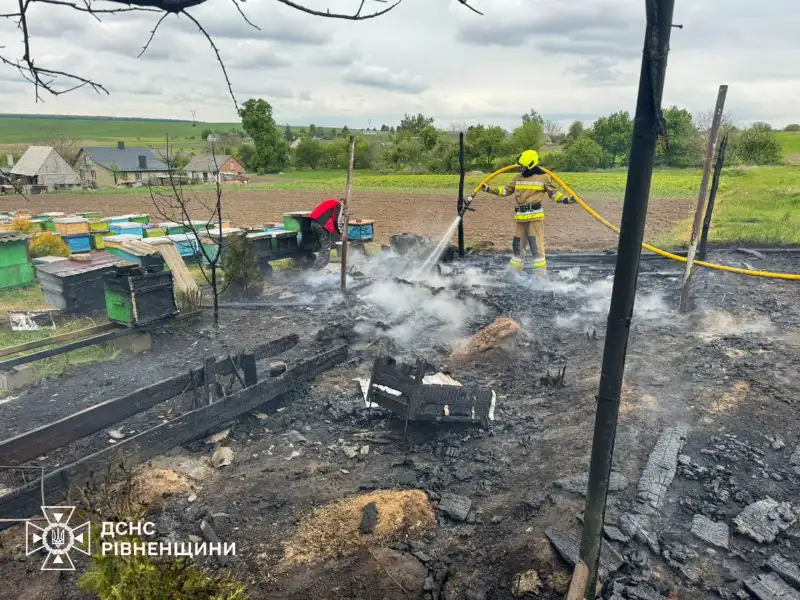 На Рівненщині загорілися вулики: у селі Дерев’яне ліквідовували пожежу На Рівненщині загорілися вулики: у селі Дерев’яне ліквідовували пожежу