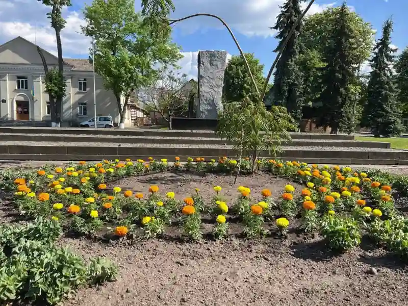Костопіль розквітає: у місті завершують весняне озеленення