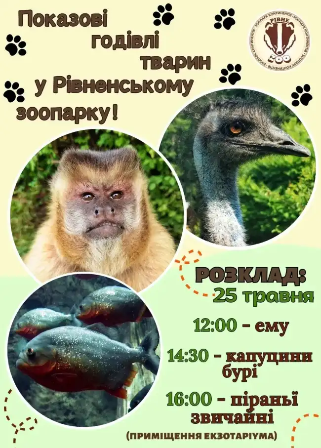 У Рівненському зоопарку покажуть, як харчуються піранії, капуцини та ему У Рівненському зоопарку покажуть, як харчуються піранії, капуцини та ему