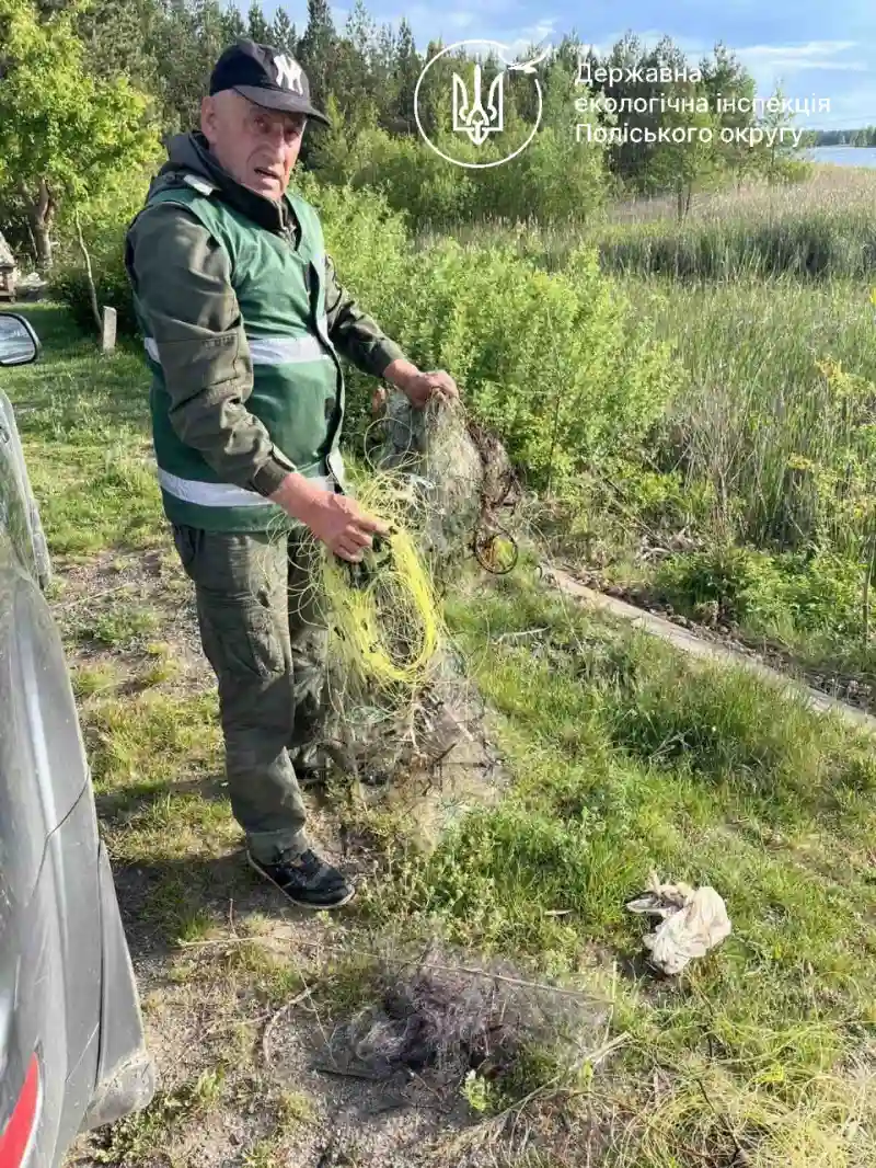 Браконьєрів не знайшли, але рибу врятували: на Рівненщині знову виявили сітки у водоймах Браконьєрів не знайшли, але рибу врятували: на Рівненщині знову виявили сітки у водоймах