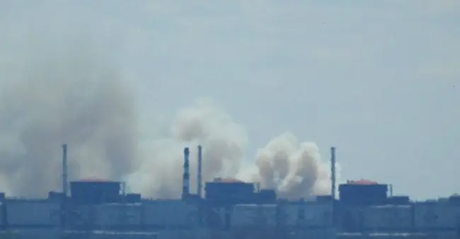 Дим над ЗАЕС виявився наслідком лісової пожежі — Міненерго заспокоїло українців