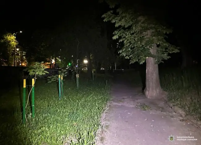 У Рівному чоловік напав на жінку посеред вулиці, але її врятував перехожий У Рівному чоловік напав на жінку посеред вулиці, але її врятував перехожий