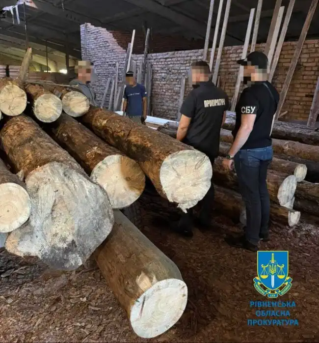 На Рівненщині викрили масштабну незаконну вирубку лісу на території заповідного фонду На Рівненщині викрили масштабну незаконну вирубку лісу на території заповідного фонду